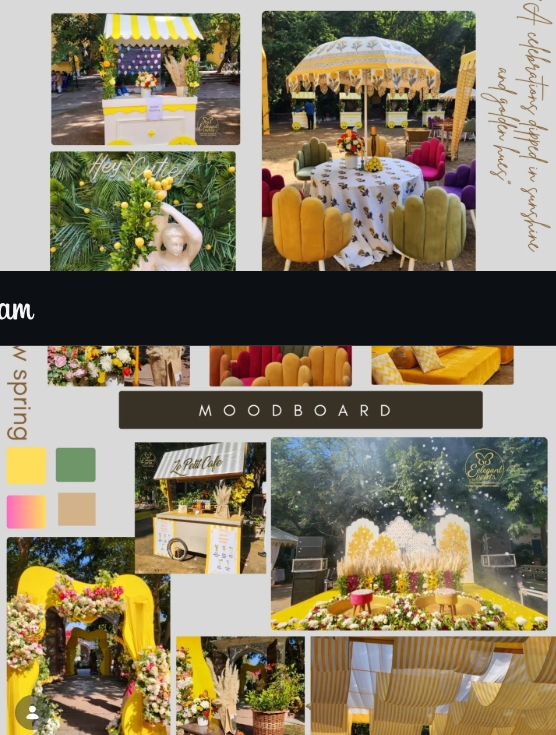 Sunkissed Splendor Moodboard